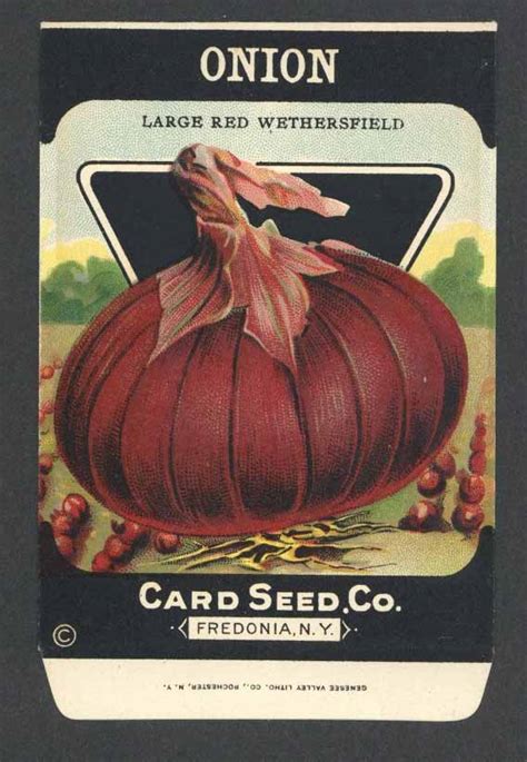 antique card seeds for sale